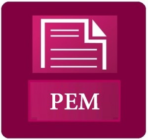 icono PEM